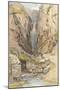 The Castalian Spring, Delphi, C.1895-John Fulleylove-Mounted Giclee Print