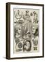 The Castellani Collection in the British Museum-null-Framed Giclee Print