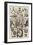 The Castellani Collection in the British Museum-null-Framed Giclee Print