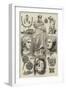 The Castellani Collection in the British Museum-null-Framed Giclee Print