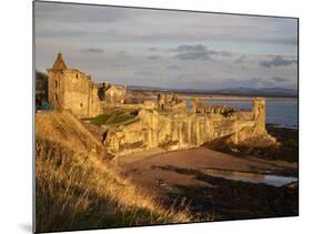 The Castle at Sunrise, St Andrews, Fife, Scotland-Mark Sunderland-Mounted Photographic Print