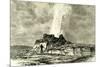 The Castle Geyser in Action 1891 Usa-null-Mounted Giclee Print