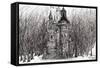The Castle in the Forest of Findhorn, 2009-Vincent Alexander Booth-Framed Stretched Canvas