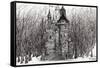 The Castle in the Forest of Findhorn, 2009-Vincent Alexander Booth-Framed Stretched Canvas