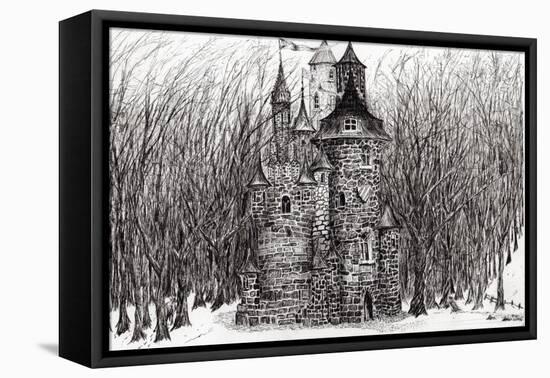 The Castle in the Forest of Findhorn, 2009-Vincent Alexander Booth-Framed Stretched Canvas