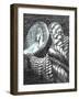 The Castle in the Forest of Findhorn P.27, 2006-Vincent Alexander Booth-Framed Giclee Print