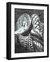 The Castle in the Forest of Findhorn P.27, 2006-Vincent Alexander Booth-Framed Giclee Print
