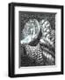 The Castle in the Forest of Findhorn P.27, 2006-Vincent Alexander Booth-Framed Giclee Print