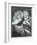 The Castle in the Forest of Findhorn P.27, 2006-Vincent Alexander Booth-Framed Giclee Print