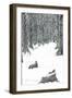 The Castle in the Forest of Findhorn P.5, 2006-Vincent Alexander Booth-Framed Giclee Print