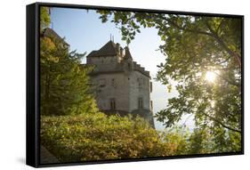 The Castle of Chillon, on Lake Geneva, Montreux, Canton Vaud, Switzerland, Europe-Angelo Cavalli-Framed Stretched Canvas