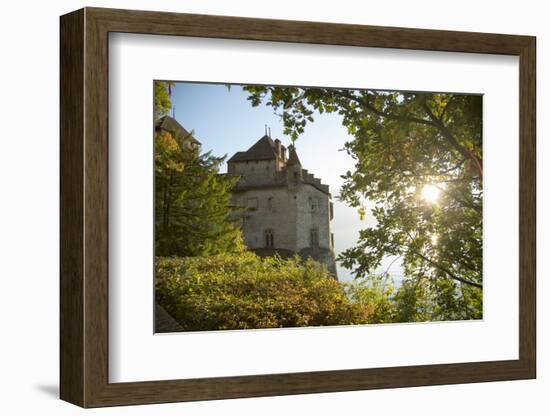 The Castle of Chillon, on Lake Geneva, Montreux, Canton Vaud, Switzerland, Europe-Angelo Cavalli-Framed Photographic Print