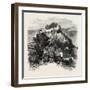 The Castle of Lourdes, the Pyrenees, France, 19th Century-null-Framed Giclee Print