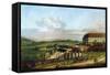 The Castle of Schlosshof Seen from North, Between 1758 and 1761-Bernardo Bellotto-Framed Stretched Canvas