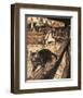 The Cat and Mouse in Partnership-Arthur Rackham-Framed Premium Giclee Print