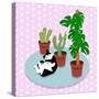 The Cat And The Cacti-Claire Huntley-Stretched Canvas