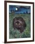 The Cat and the Moon-Hilary Jones-Framed Giclee Print