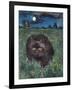 The Cat and the Moon-Hilary Jones-Framed Giclee Print