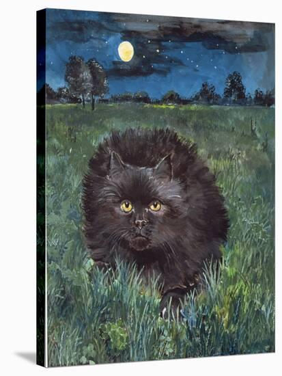 The Cat and the Moon-Hilary Jones-Stretched Canvas