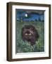 The Cat and the Moon-Hilary Jones-Framed Giclee Print