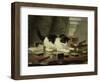 The Cat at Play, by Henriette Ronner, C. 1860-78, Belgian-Dutch Painting on Panel-Henriette Ronner-Framed Art Print