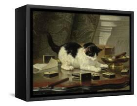 The Cat at Play, by Henriette Ronner, C. 1860-78, Belgian-Dutch Painting on Panel-Henriette Ronner-Framed Stretched Canvas