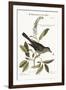 The Cat-Bird, 1749-73-Mark Catesby-Framed Giclee Print