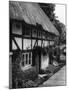 The Cat House-J. Chettlburgh-Mounted Photographic Print