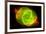 The Cat's Eye Nebula Space-null-Framed Photo