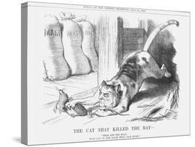 The Cat That Killed the Rat, 1880-Joseph Swain-Stretched Canvas