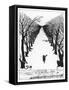 The Cat That Walked By Himself-null-Framed Stretched Canvas