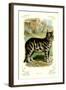 The Cat-null-Framed Art Print