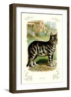 The Cat-null-Framed Art Print