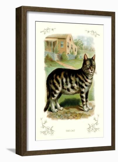 The Cat-null-Framed Art Print