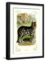 The Cat-null-Framed Art Print