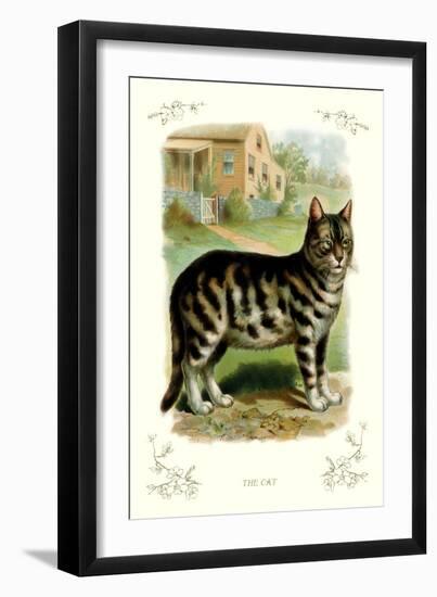 The Cat-null-Framed Art Print