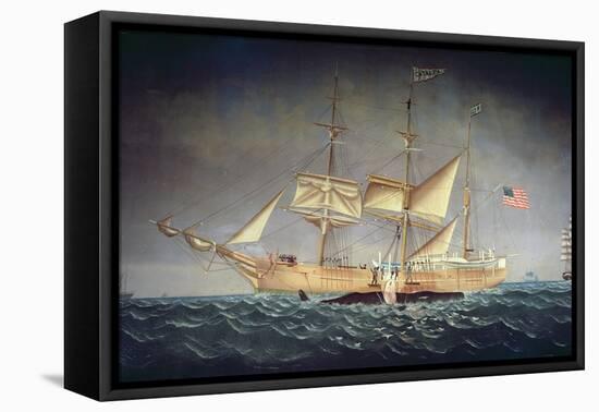 The 'Catalpa' with Whale-American School-Framed Stretched Canvas