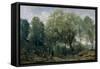 The Catalpa-Jean-Baptiste-Camille Corot-Framed Stretched Canvas