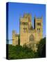 The Cathedral, Durham, County Durham, England, UK-Neale Clarke-Stretched Canvas