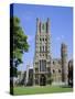 The Cathedral, Ely, Cambridgeshire, England, UK-Roy Rainford-Stretched Canvas
