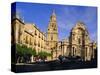 The Cathedral in Murcia, Murcia, Spain, Europe-John Miller-Stretched Canvas