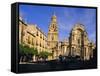 The Cathedral in Murcia, Murcia, Spain, Europe-John Miller-Framed Stretched Canvas