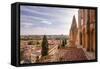 The Cathedral in Salamanca, UNESCO World Heritage Site, Castile and Leon, Spain, Europe-Julian Elliott-Framed Stretched Canvas