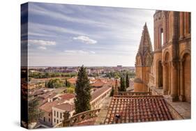 The Cathedral in Salamanca, UNESCO World Heritage Site, Castile and Leon, Spain, Europe-Julian Elliott-Stretched Canvas