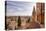 The Cathedral in Salamanca, UNESCO World Heritage Site, Castile and Leon, Spain, Europe-Julian Elliott-Stretched Canvas