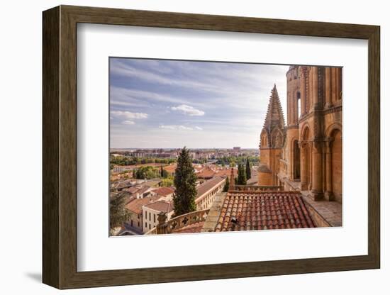 The Cathedral in Salamanca, UNESCO World Heritage Site, Castile and Leon, Spain, Europe-Julian Elliott-Framed Photographic Print