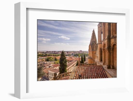 The Cathedral in Salamanca, UNESCO World Heritage Site, Castile and Leon, Spain, Europe-Julian Elliott-Framed Photographic Print