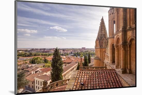 The Cathedral in Salamanca, UNESCO World Heritage Site, Castile and Leon, Spain, Europe-Julian Elliott-Mounted Photographic Print