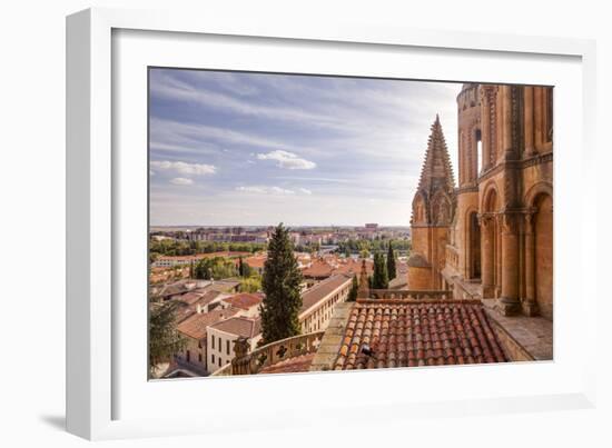 The Cathedral in Salamanca, UNESCO World Heritage Site, Castile and Leon, Spain, Europe-Julian Elliott-Framed Photographic Print