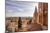 The Cathedral in Salamanca, UNESCO World Heritage Site, Castile and Leon, Spain, Europe-Julian Elliott-Mounted Photographic Print